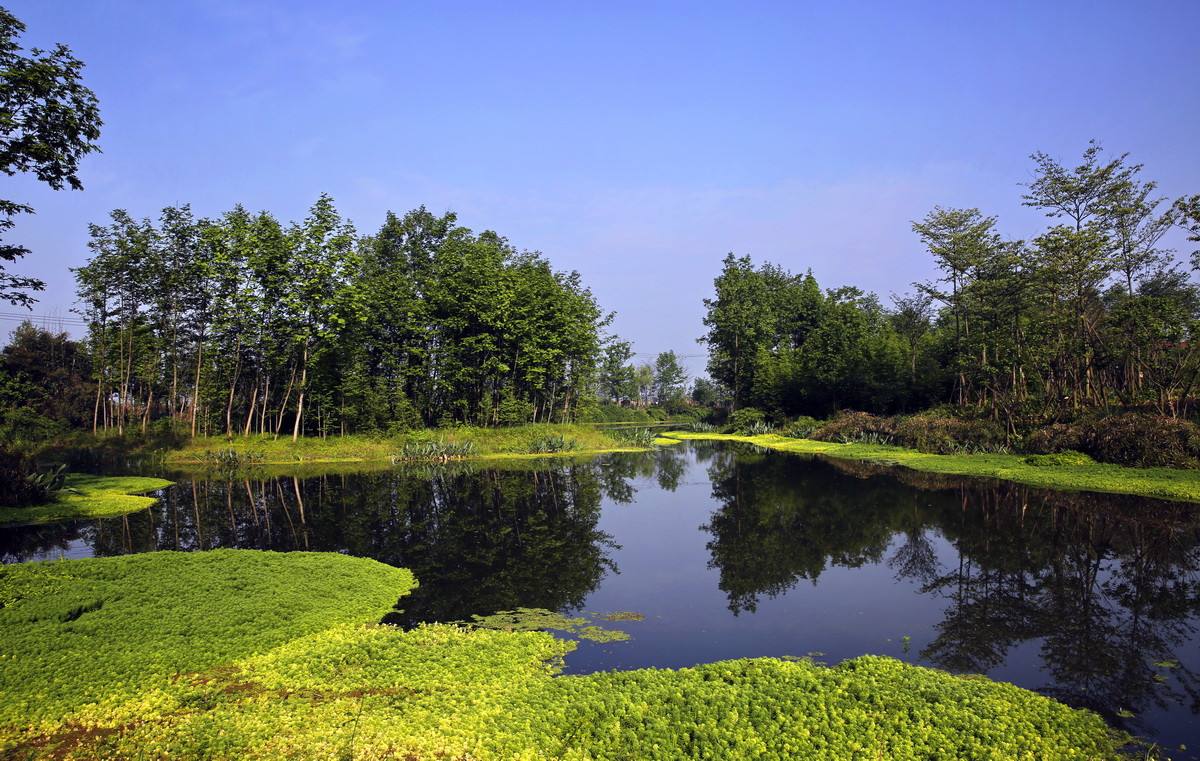 生活污水怎么處理？人工濕地or生活污水處理設(shè)備？